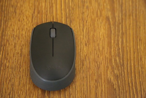 mouse.jpg